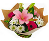 Flores