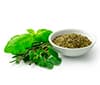 Aromaticas y Especies
